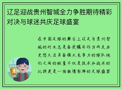 辽足迎战贵州智城全力争胜期待精彩对决与球迷共庆足球盛宴