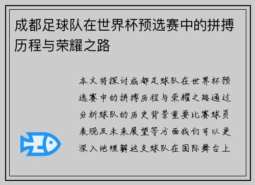 成都足球队在世界杯预选赛中的拼搏历程与荣耀之路