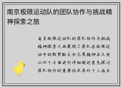南京极限运动队的团队协作与挑战精神探索之旅